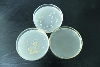 D/E Neutralizing Broth D/E中和肉湯