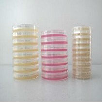 Earle's平衡鹽溶液(10×EBSS,含鈣鎂糖)