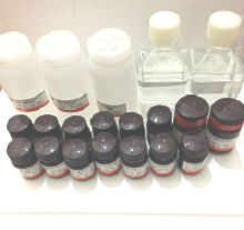 茜素紅S染色液(1%,pH8.3)