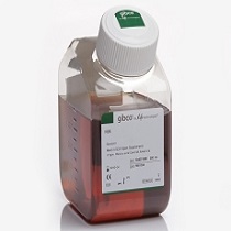 標準小牛血清(碳吸附過濾)