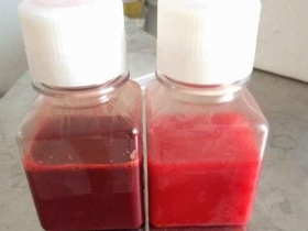 特級新生牛血清（無菌采制）