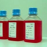 改良Hoagland's(霍格蘭氏)營養液-大量元素(100×)(可配5升10升50升)