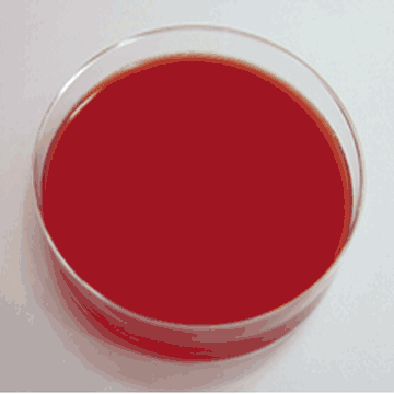 MS培養基粉劑(不含蔗糖和瓊脂)