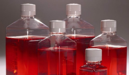 新生牛血清樣品采集方法  新生牛血清的應用范圍